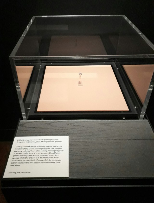 passenger pigeon dna from museum collections